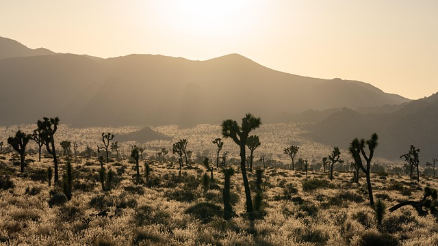 Select California Taxes