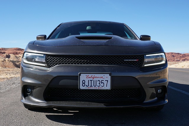 Select Muscle Cars