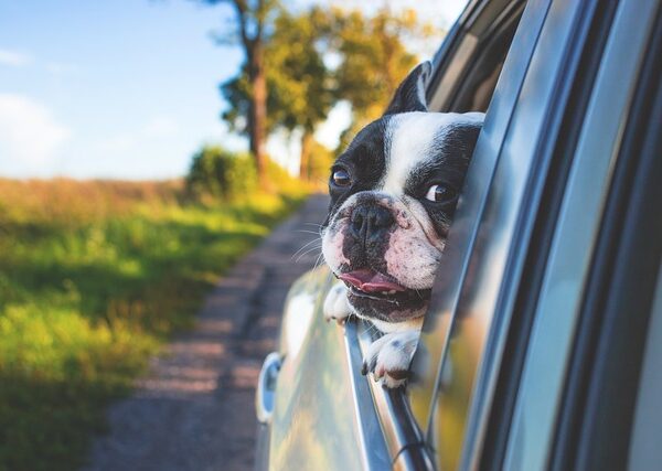 select-window-tinting-640x480-34117052.jpeg