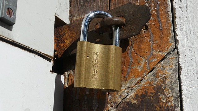 Anti-Theft Devices
