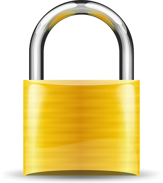 Anti-Theft Devices