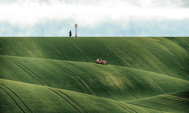 cars