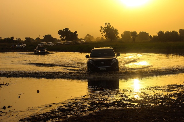 Registering Your Car in California: A Step-by-Step Guide with VIN Verification