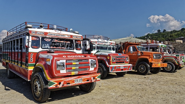 select-buses-640x480-77956024.jpeg