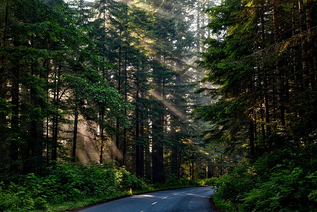 Select California Taxes