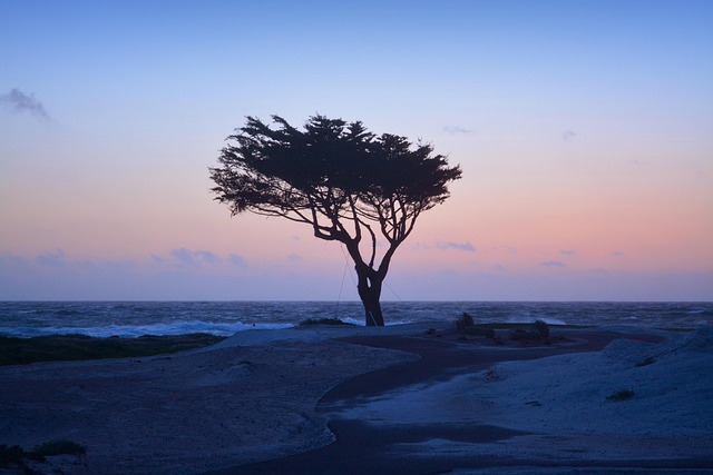 Select California Taxes