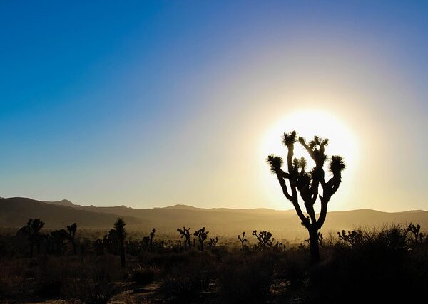 select-california-taxes-640x480-22781821.jpeg