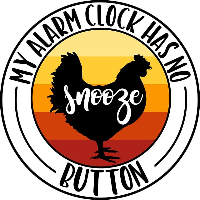 Select Car Alarms