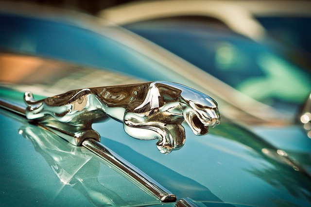 Select Classic Car Restoration