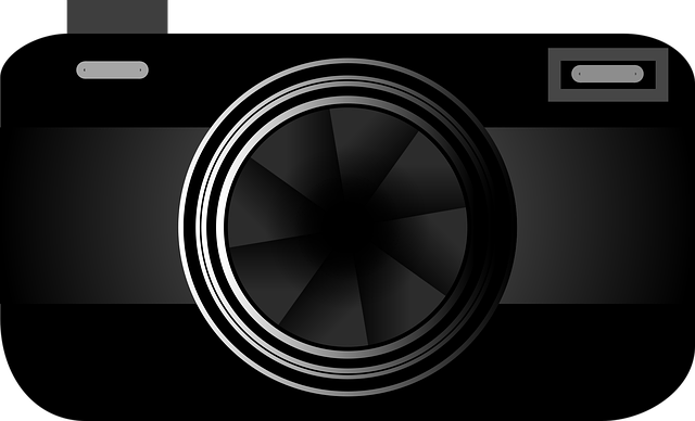Select Dash Cams