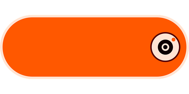 Select Dash Cams
