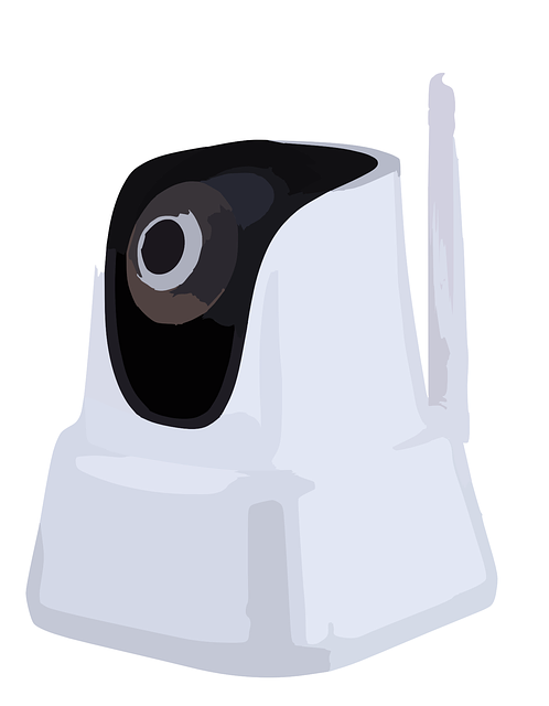 Select Dash Cams