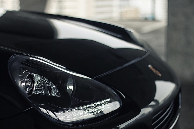 Select Exotic Cars