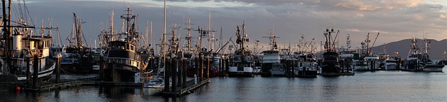 Select Fleet Management