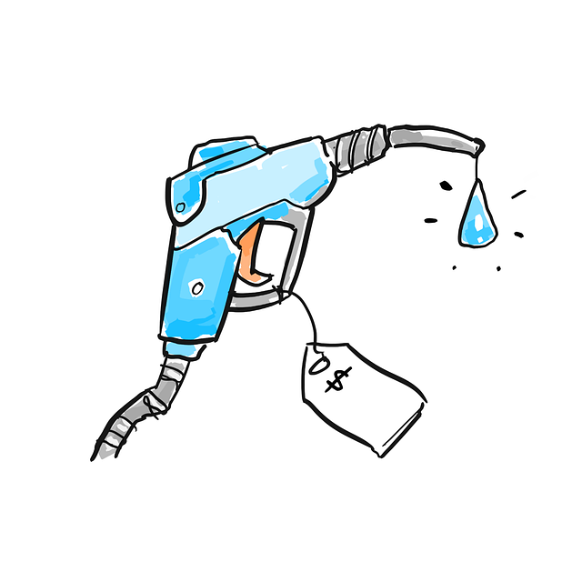 Select Gasoline Vehicles