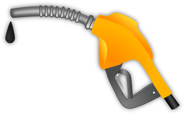 Select Gasoline Vehicles