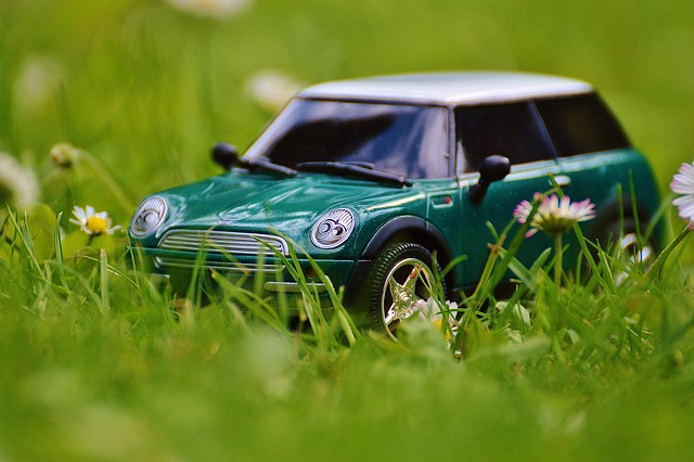 Select Gasoline Vehicles