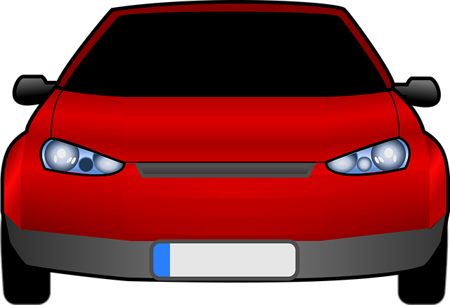 Select License Plate Privacy