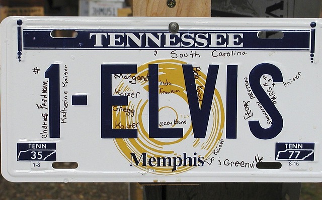 Select License Plate Privacy