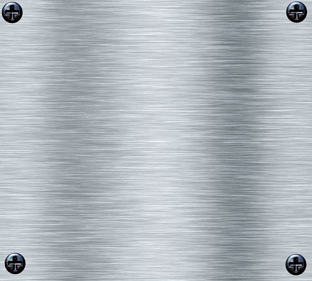 Select License Plate Privacy