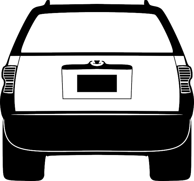 Select License Plate Privacy