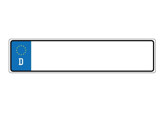 Select License Plate Privacy