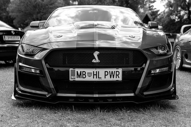 Select Muscle Cars