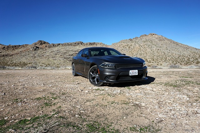 Select Muscle Cars