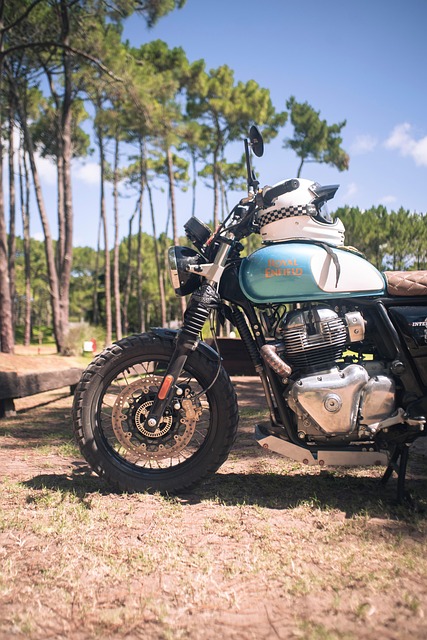 Customize Your Off-Road Adventure: Vehicle Selection & Mods Guide