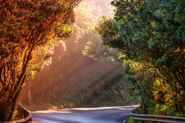 Select Off-Roading Adventures