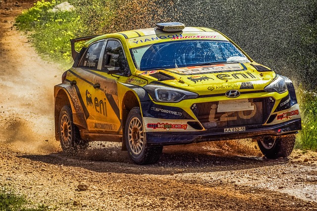 Select Rally Racing