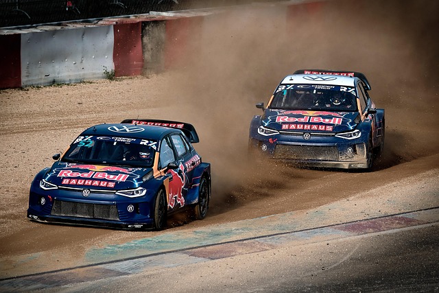 Select Rally Racing