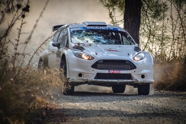 Select Rally Racing