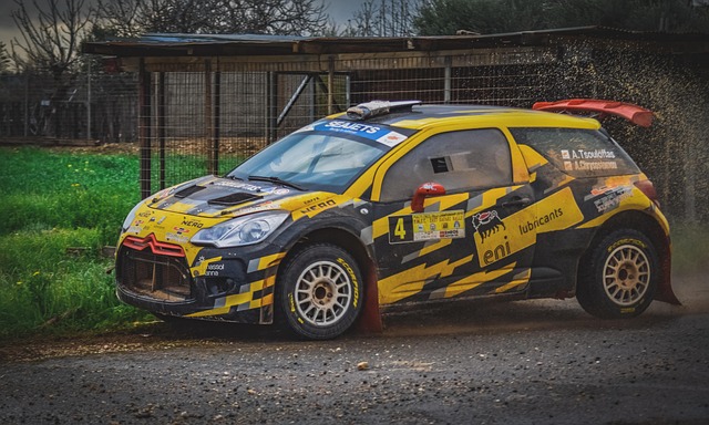 Select Rally Racing