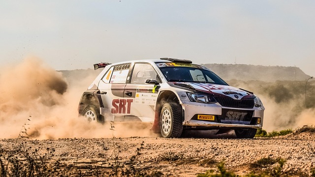 Select Rally Racing