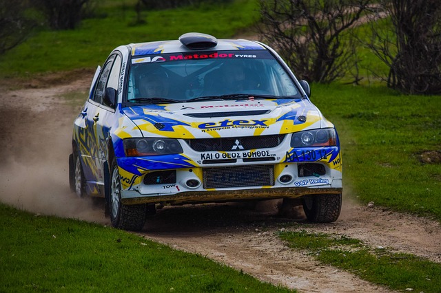 Select Rally Racing