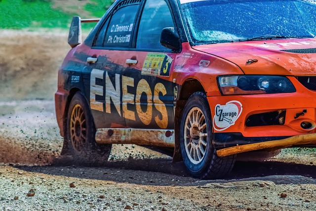 Select Rally Racing