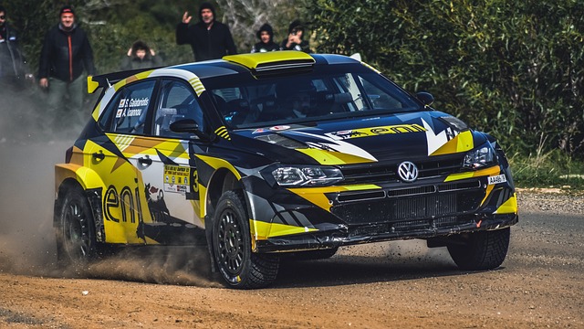 Select Rally Racing