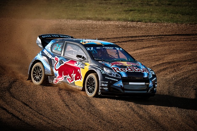 Select Rally Racing