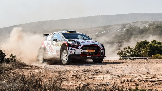 Select Rally Racing