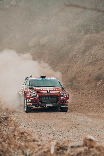 Select Rally Racing