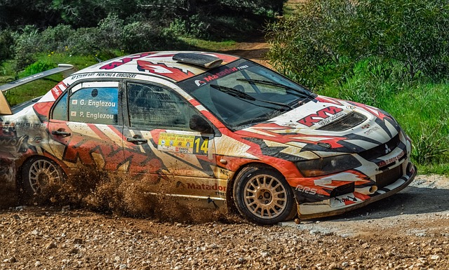 Select Rally Racing