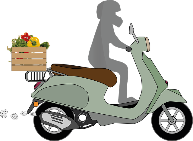 Select Ride-Hailing Services
