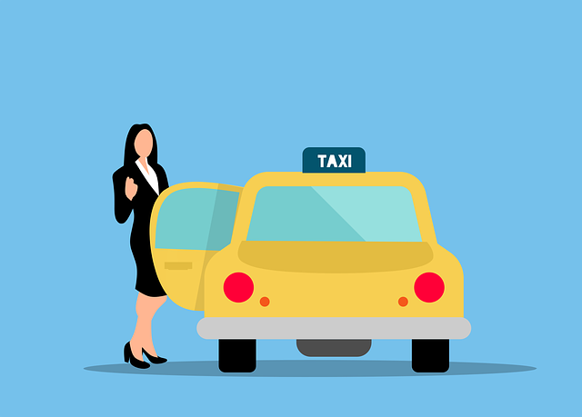 Select Ride-Hailing Services