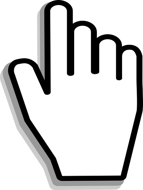 Select Ride-Hailing Services