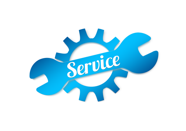 Select Ride-Hailing Services