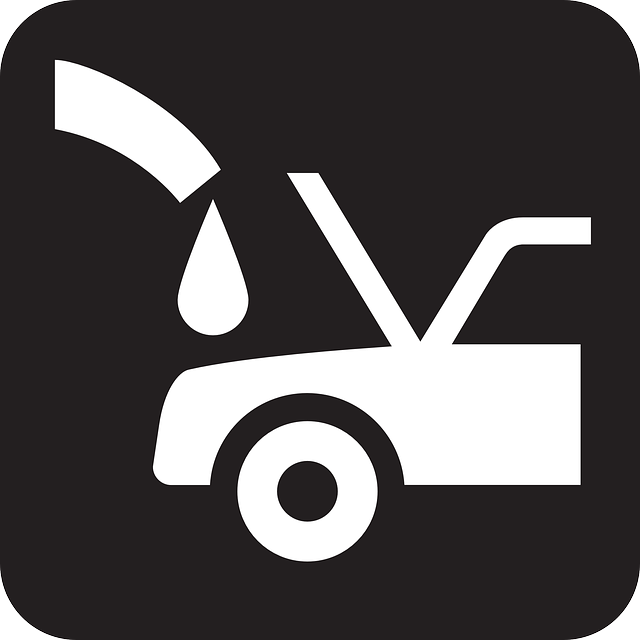 Select Ride-Hailing Services