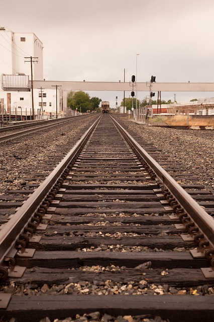 Real-Time Vehicle Data Access: Riverside CA VIN Inspection & Benefits