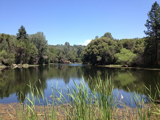 select-riverside-ca-vin-inspector-640x480-9294613.jpeg