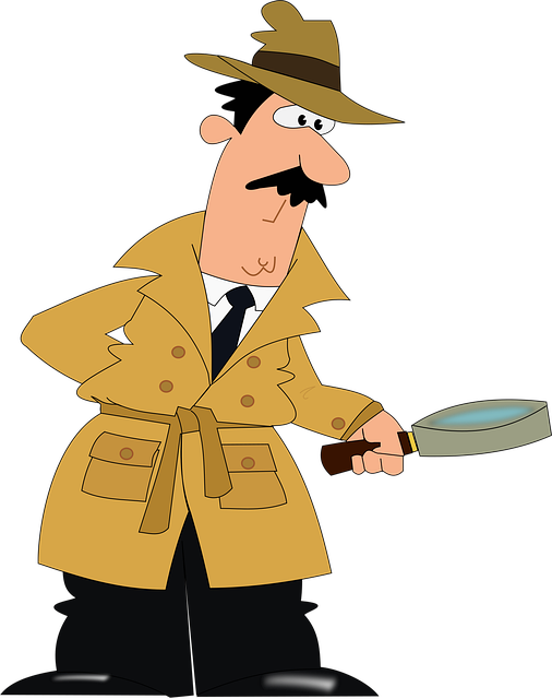 Select riverside ca vin inspector